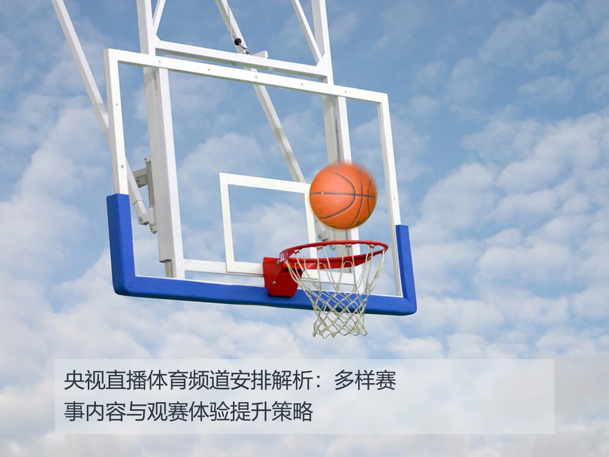 央视直播体育频道安排解析:多样赛事内容与观赛体验提升策略